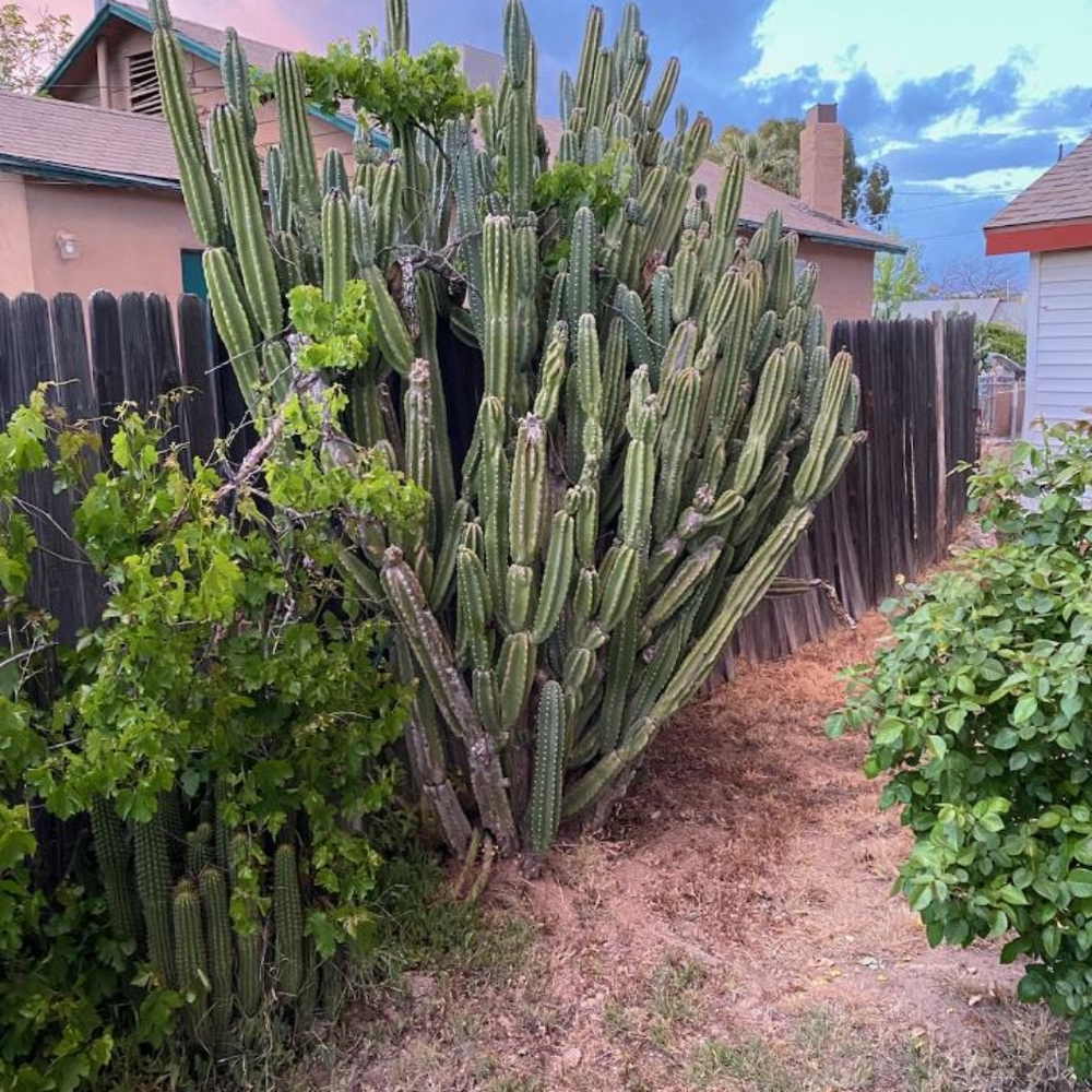 Meet your Posher, Maddy